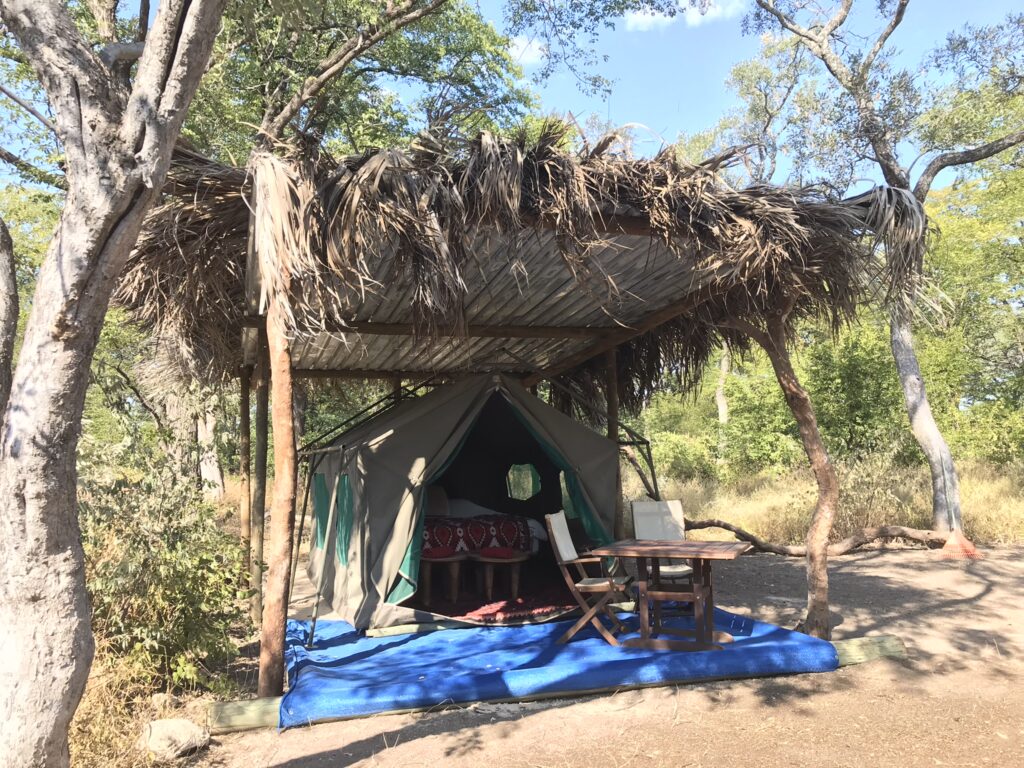 Glamping Botswana
Bedded tent Raintree Camp